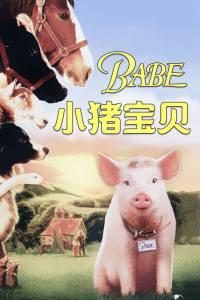 小猪宝贝在线观看免费,免费在线观看，欢乐童年随行