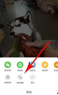 全民爆料完整版视频,事件真相与幕后黑幕深度解析