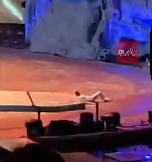马戏团事故视频,观众惊呼不已