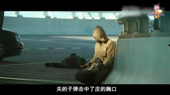 电影枪王免费观看,巅峰对决，免费观影盛宴