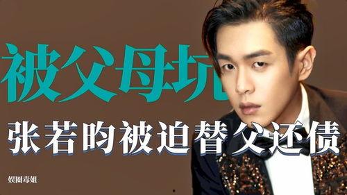 替父还债的明星,明星的担当与成长之路