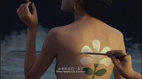 为艺术献真身明星,揭秘为艺术献真身的明星传奇