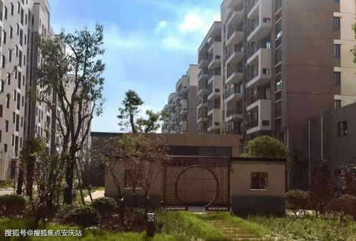 新妻地狱无码下载地址,独家资源一网打尽