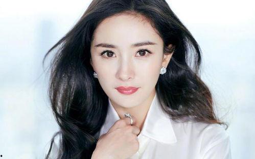 所有的明星图片,揭秘娱乐圈明星风采瞬间