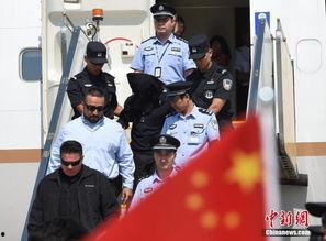 日本刑事员,揭秘日本司法体系中的神秘角色