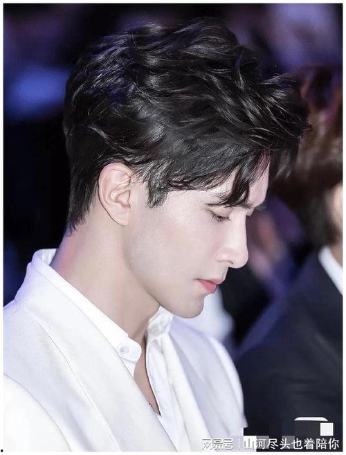 中国混血男明星有哪些,盘点中国混血男明星风采