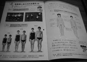 日本 生理,传统与现代的交融与传承