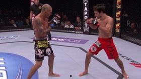 八角笼兽战最新爆料,神秘爆料揭示全新战局与角色揭秘