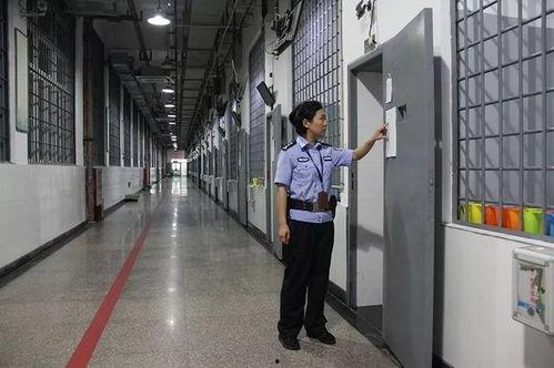 avav看免费视频,免费视频盛宴的精彩瞬间