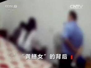 女的直播黄鳝视频,揭秘网络直播的道德边界