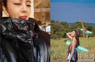 娱乐圈女星澳门老公,豪门婚姻背后的故事