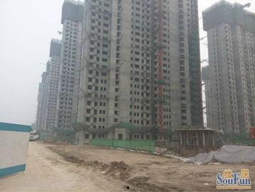 青岛蓝湾爆料最新消息新闻,揭秘神秘项目进展与影响