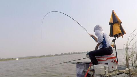 中国钓鱼人爆料视频,揭秘水下世界与民间智慧