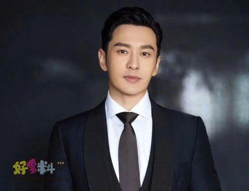 黄晓明明星介绍,从影视明星到公益使者，全方位展现魅力人生