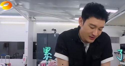 黄晓明中餐厅最新爆料,揭秘幕后故事与精彩瞬间