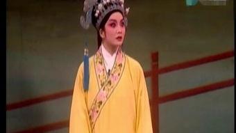 扬剧孙爱民老公,扬剧界璀璨的明星伴侣