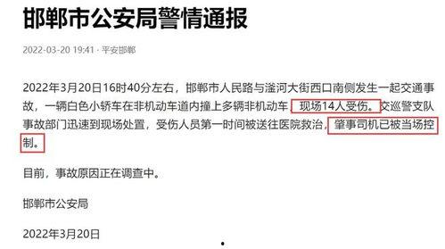河北爆料最新消息今天新闻,今日新闻聚焦突发事件