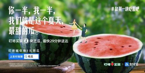 娱乐吃瓜常用文案,明星们的幕后故事与八卦风云