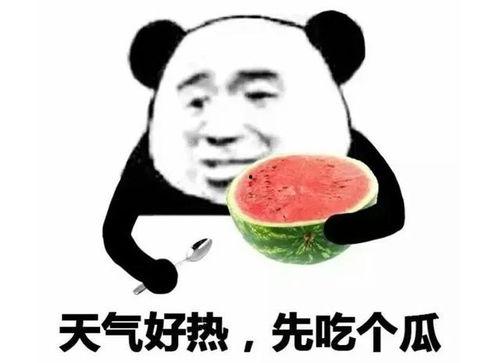 吃瓜表情包高清,吃瓜表情包高清来袭，笑料横生！